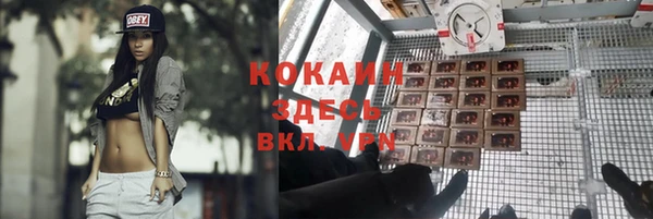 ALPHA PVP Ростов
